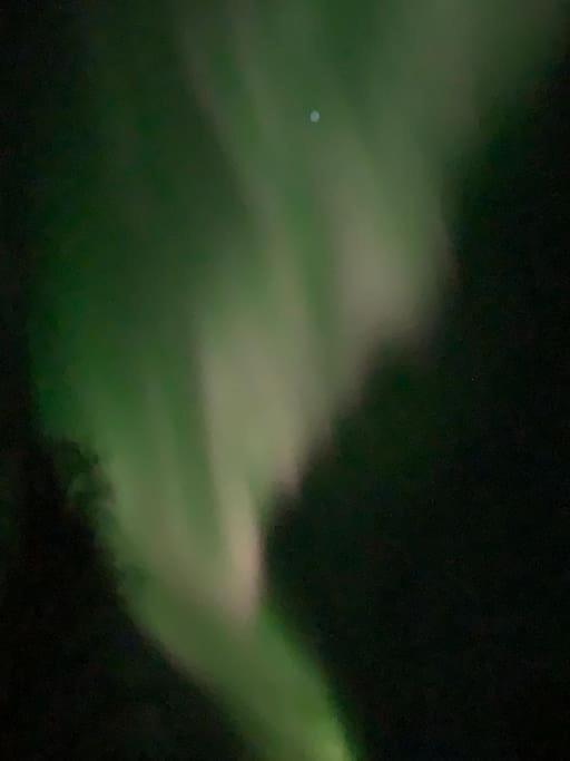 Fin Leilighet I Tromsdalen. Daire Tromsø Dış mekan fotoğraf