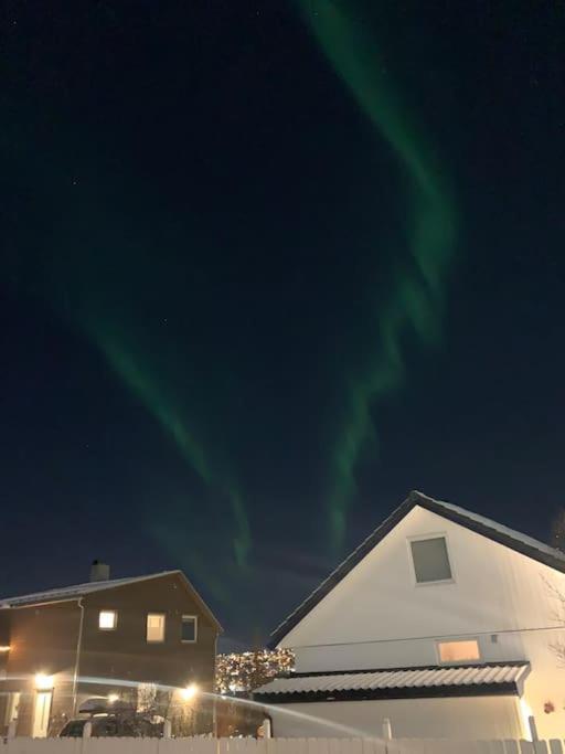 Fin Leilighet I Tromsdalen. Daire Tromsø Dış mekan fotoğraf